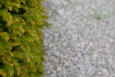 Similar image 160651