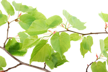 Similar image 160668