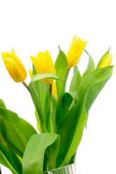 Similar image 160669