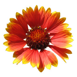 Similar image 160682