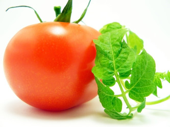 Similar image 160718