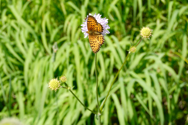 Similar image 160743