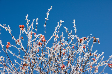 Similar image 160746