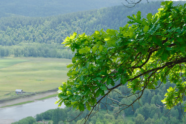 Similar image 160763