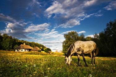 Similar image 160770