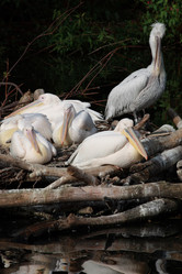 Similar image 160797