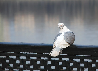 Similar image 160813