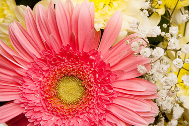 Similar image 160893