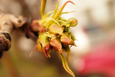 Similar image 160900