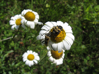 Similar image 160910