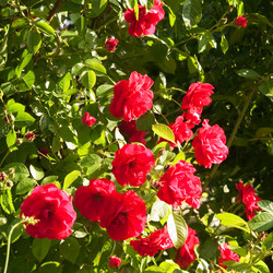 Similar image 160914