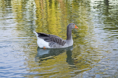 Similar image 160933