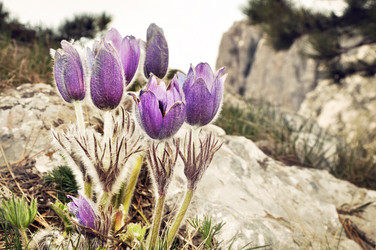 Similar image 160940