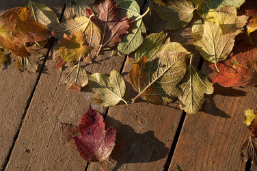 Similar image 160973