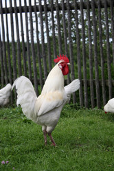 Similar image 160975