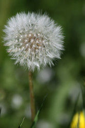 Similar image 161004