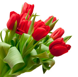 Similar image 161007