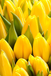 Similar image 161008