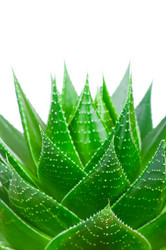 Similar image 161016