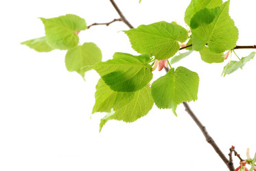 Similar image 161018