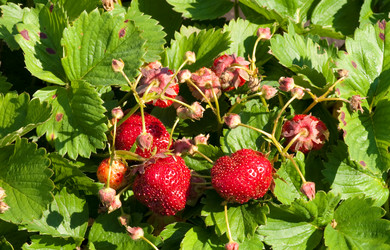 Similar image 161025