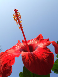 Similar image 161034