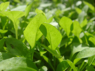 Similar image 161037