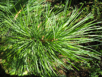 Similar image 161039