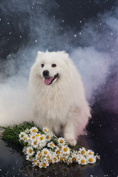 Similar image 161041