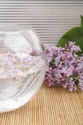 Similar image 161043