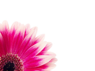 Similar image 161056