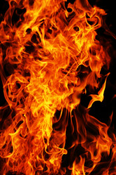 Similar image 161066