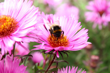 Similar image 161068