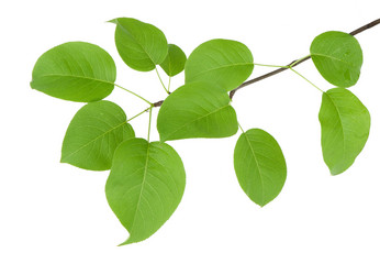 Similar image 161075