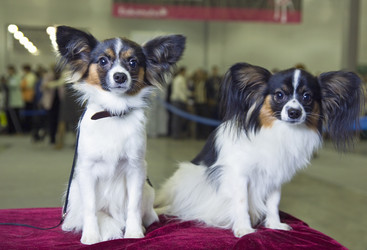 Similar image 161076