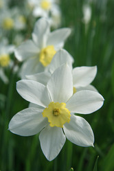 Similar image 161081