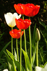 Similar image 161086