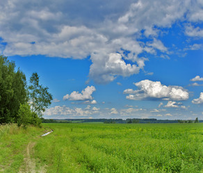 Similar image 161088