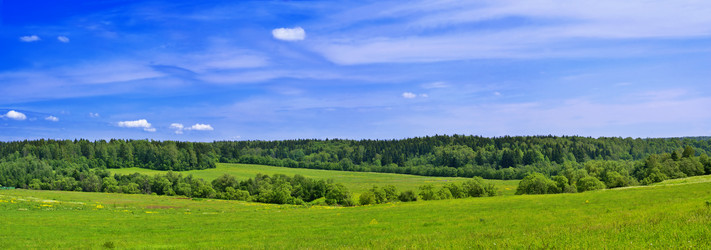 Similar image 161089