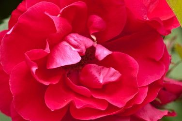 Similar image 161125