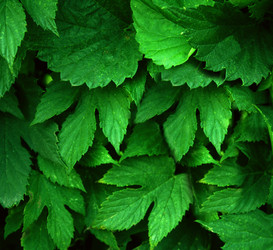 Similar image 161142