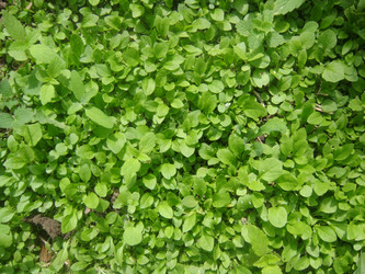 Similar image 161177