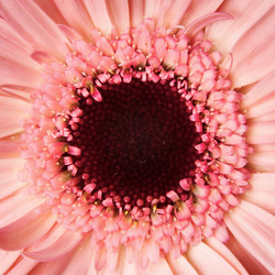 Similar image 161201