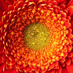 Similar image 161204