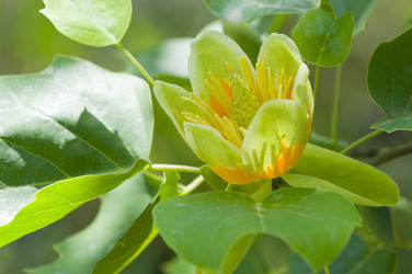 Similar image 161214