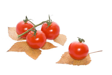 Similar image 161215