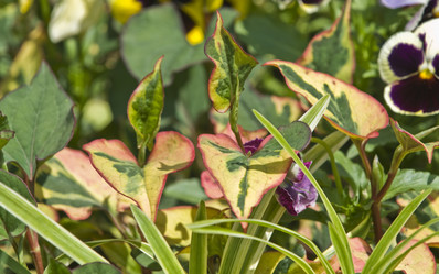 Similar image 161216