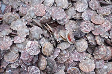 Similar image 161217