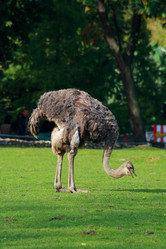 Similar image 161250