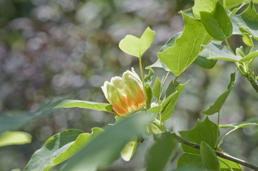 Similar image 161258